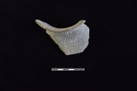 陶罐藏品圖，第2張